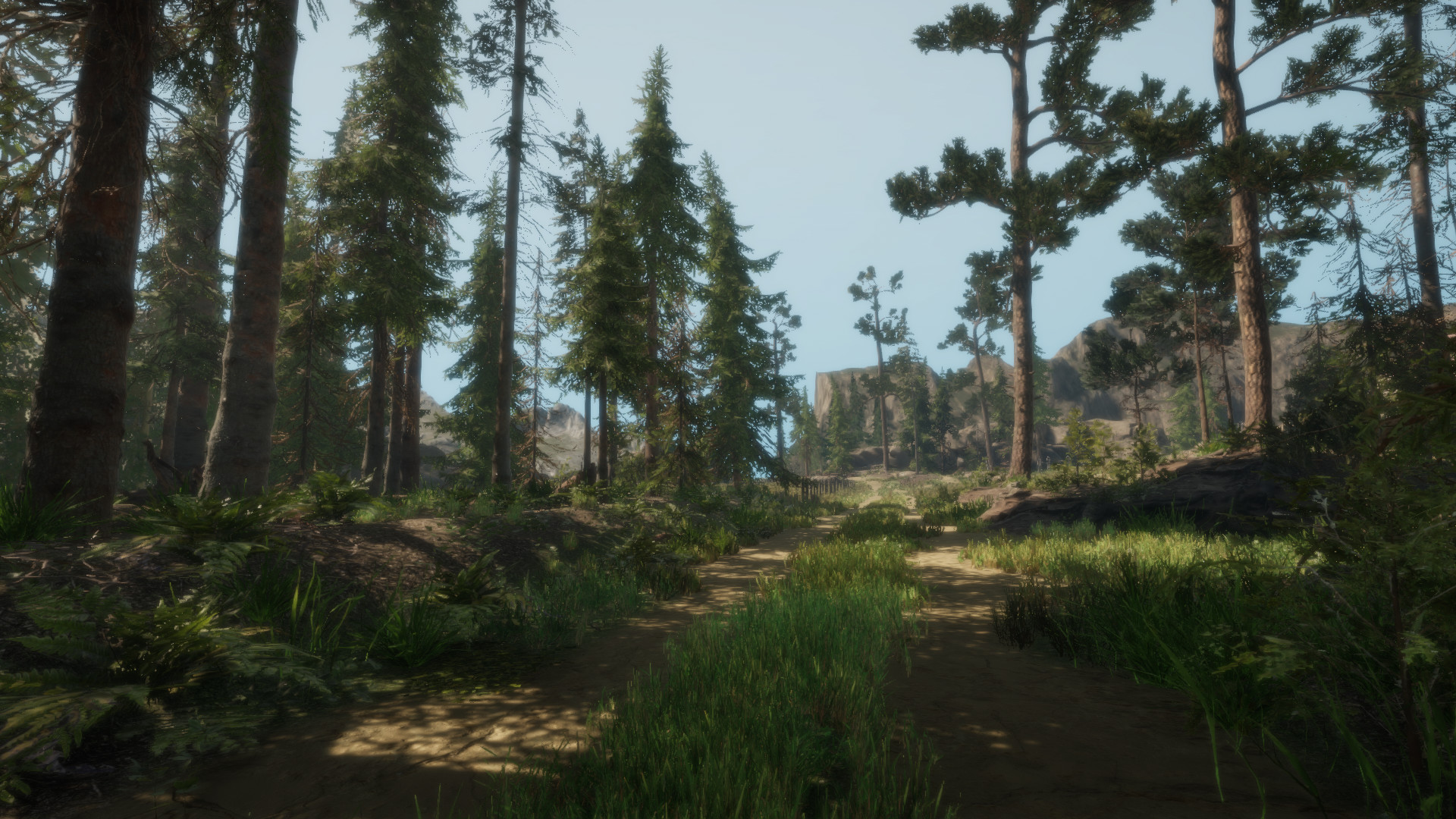 The forest vr store steam