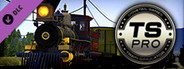 Train Simulator: CPRR 4-4-0 No. 60 ‘Jupiter’ Steam Loco Add-On