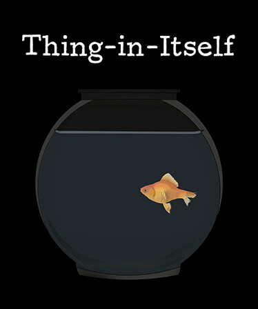 Thing-in-Itself