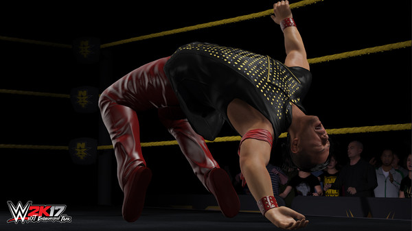 скриншот WWE 2K17 - NXT Enhancement Pack 1