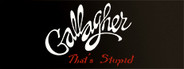 Gallagher: That's Stupid