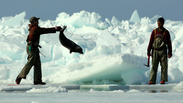 скриншот Huntwatch 1