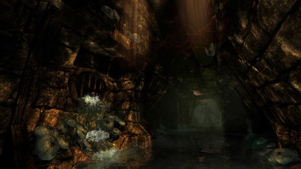 скриншот Amnesia: The Dark Descent 4