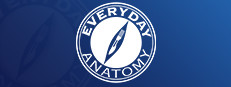 Everyday Anatomy VR 게임 이미지