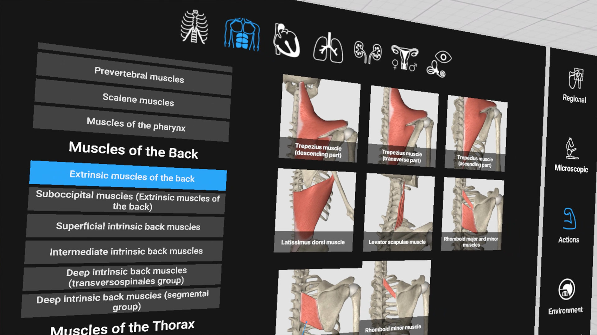 Everyday Anatomy VR #5