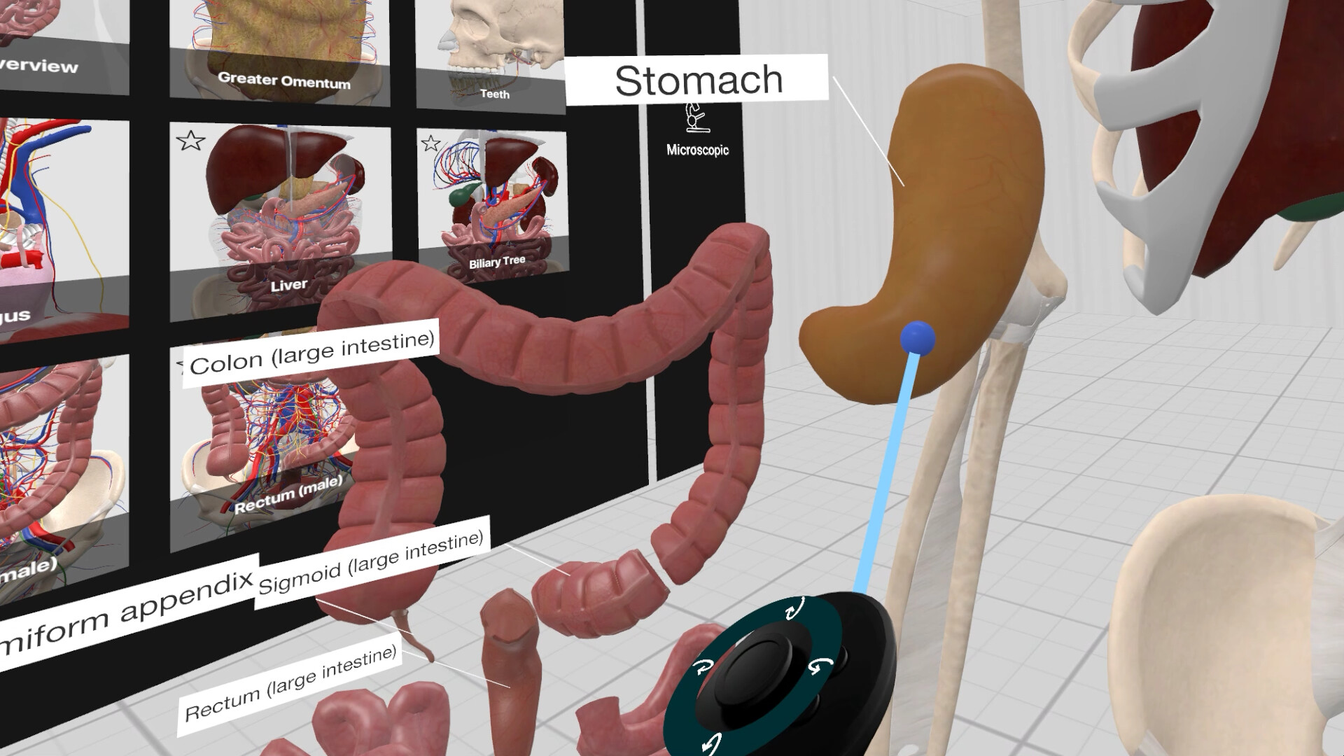 Everyday Anatomy VR #7