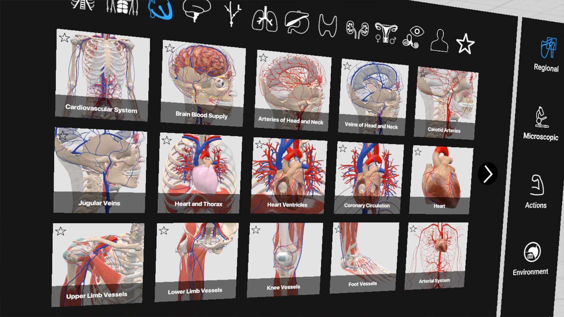 Everyday Anatomy VR #3