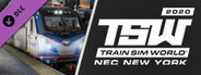 Train Sim World®: Northeast Corridor New York