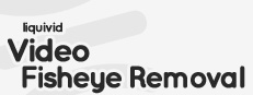 liquivid Video Fisheye Removal 게임 이미지