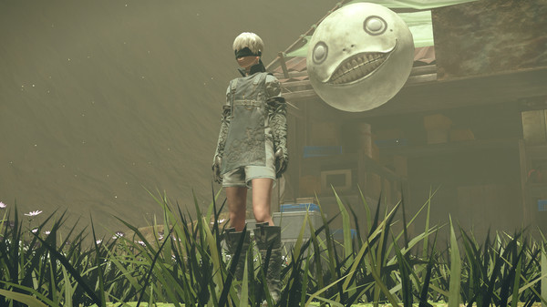 NieR:Automata™ - 3C3C1D119440927