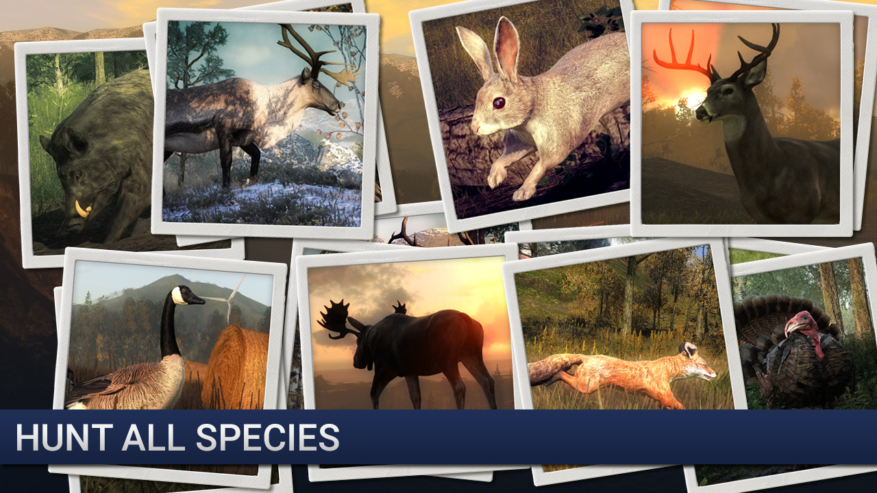 theHunter - Deer Hunter #4