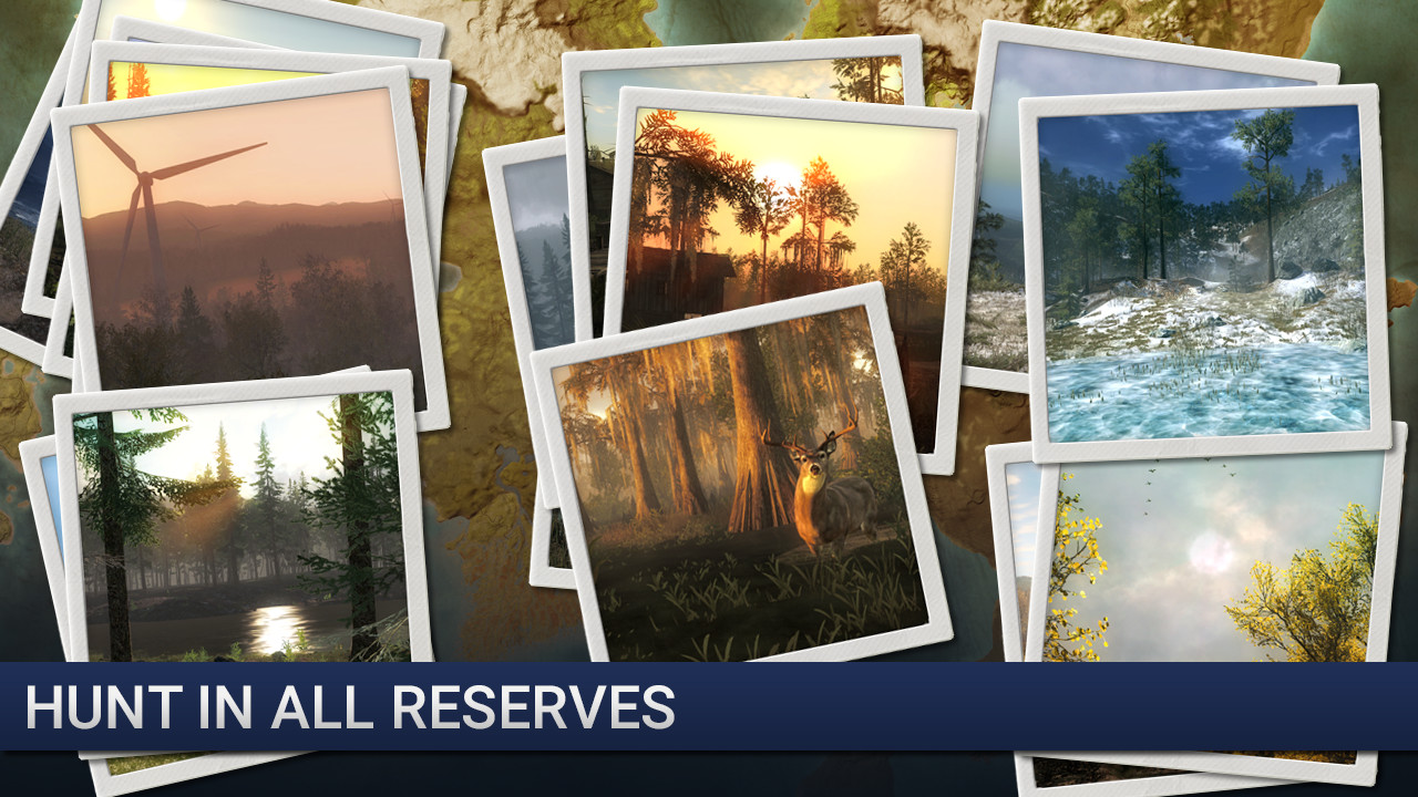 theHunter - Deer Hunter #3