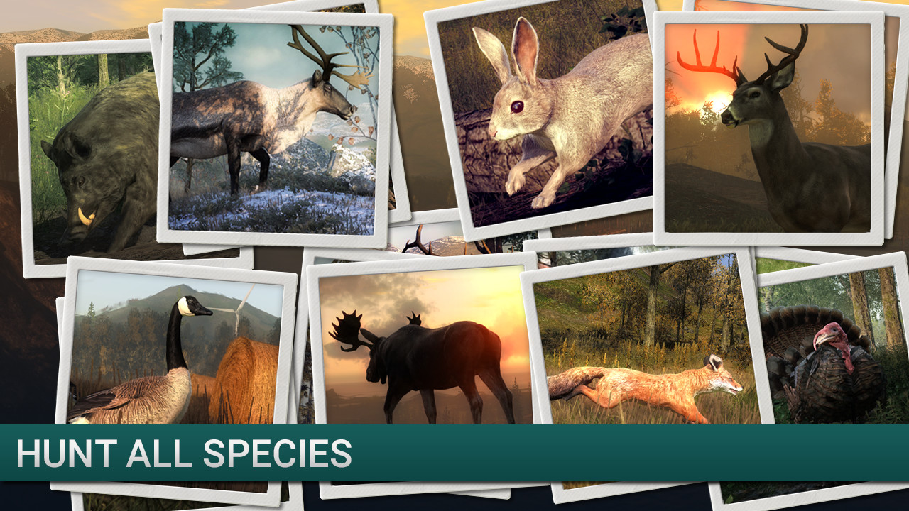 theHunter - Duck Hunter #4