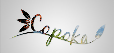 Copoka header image