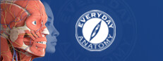 Everyday Anatomy 게임 이미지