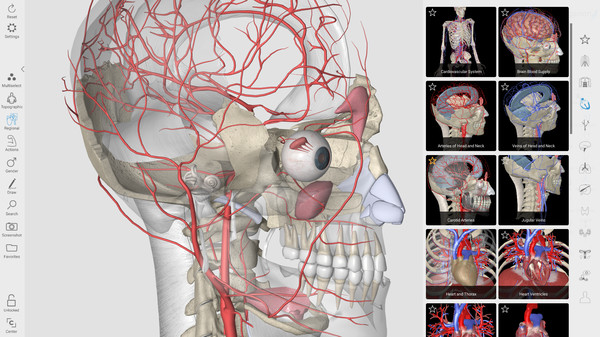 скриншот 3D Organon Anatomy 0