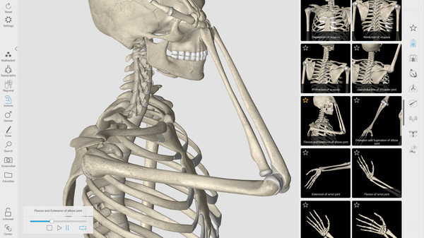 скриншот 3D Organon Anatomy 1
