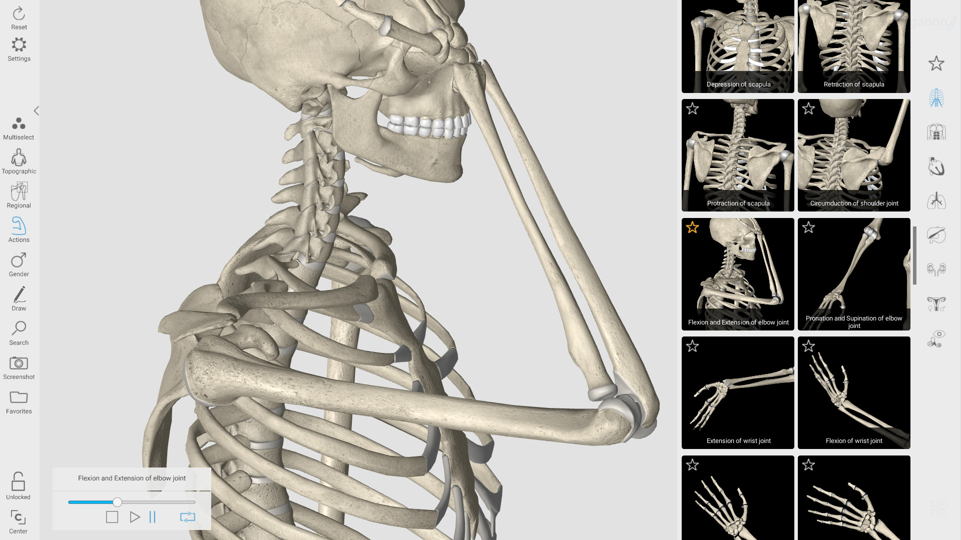 3D Organon Anatomy Steam Discovery