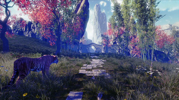 Скриншот №9 к Nature Treks VR