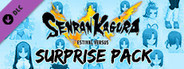 SENRAN KAGURA ESTIVAL VERSUS - Surprise Pack