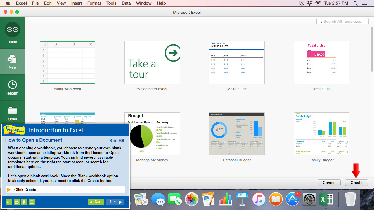 Professor Teaches® Excel 2016 – Mac 6