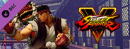 Street Fighter V - Capcom Pro Tour 2017 Premier Pass