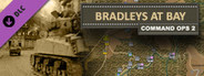 Command Ops 2: Bradley at Bay Vol. 8
