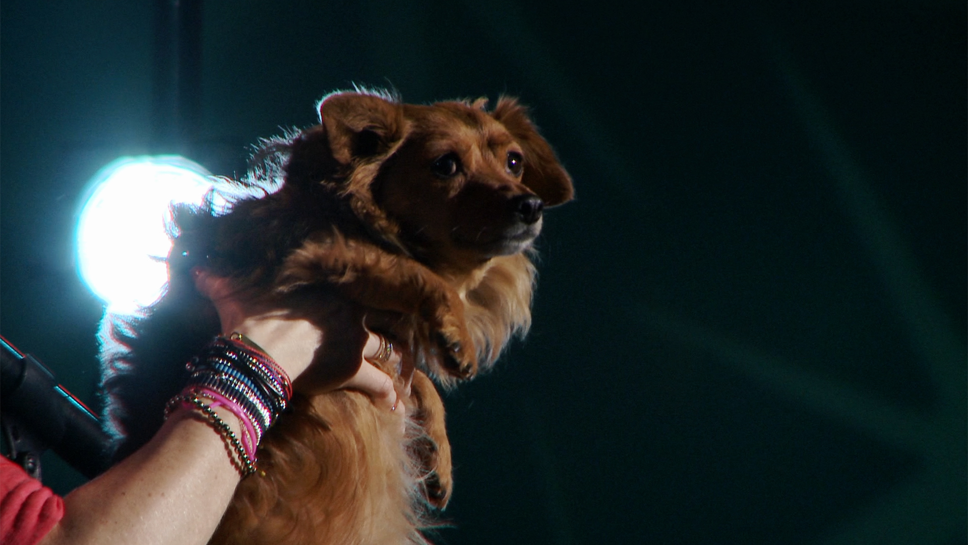 Iliza Shlesinger: War Paint #3