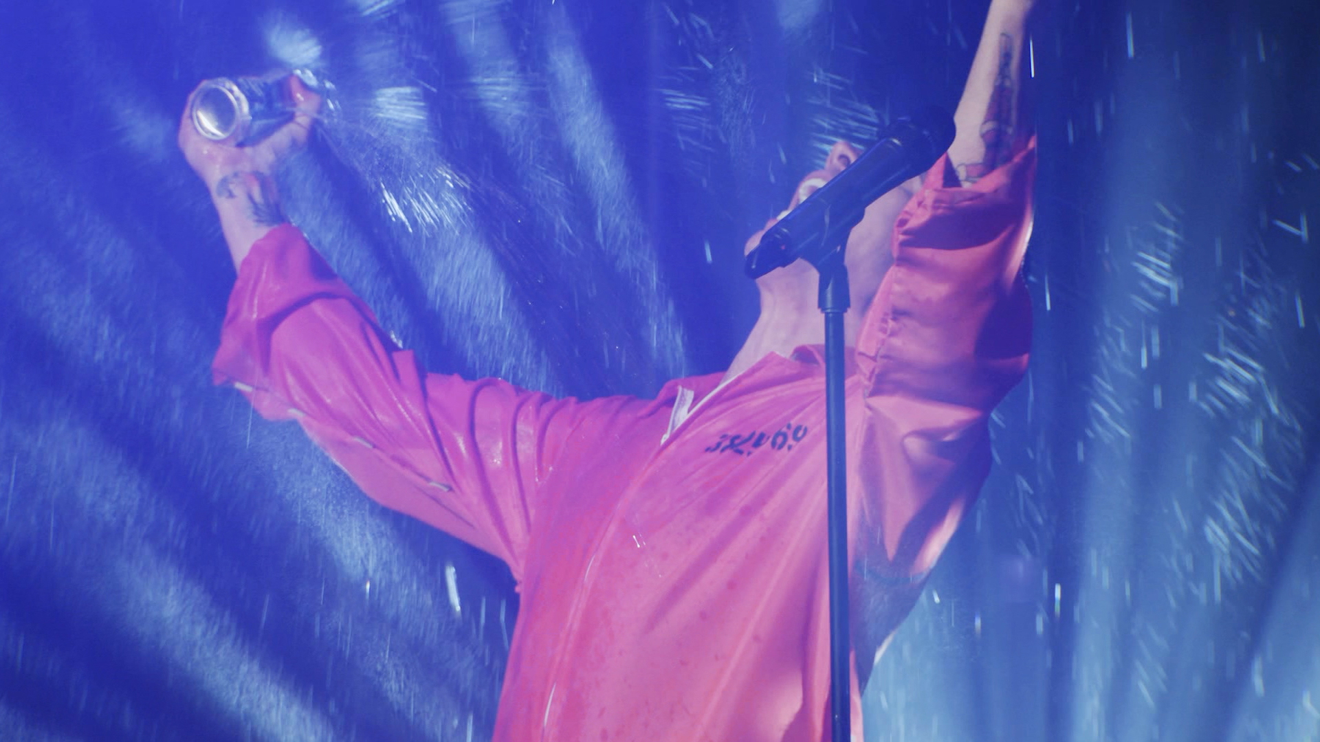 Steve-O: Guilty As Charged #0