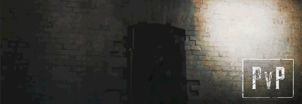 02_PvP.gif