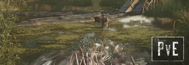03_PvE.gif