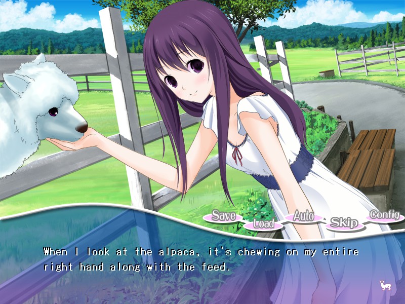 PacaPlus screenshot 2