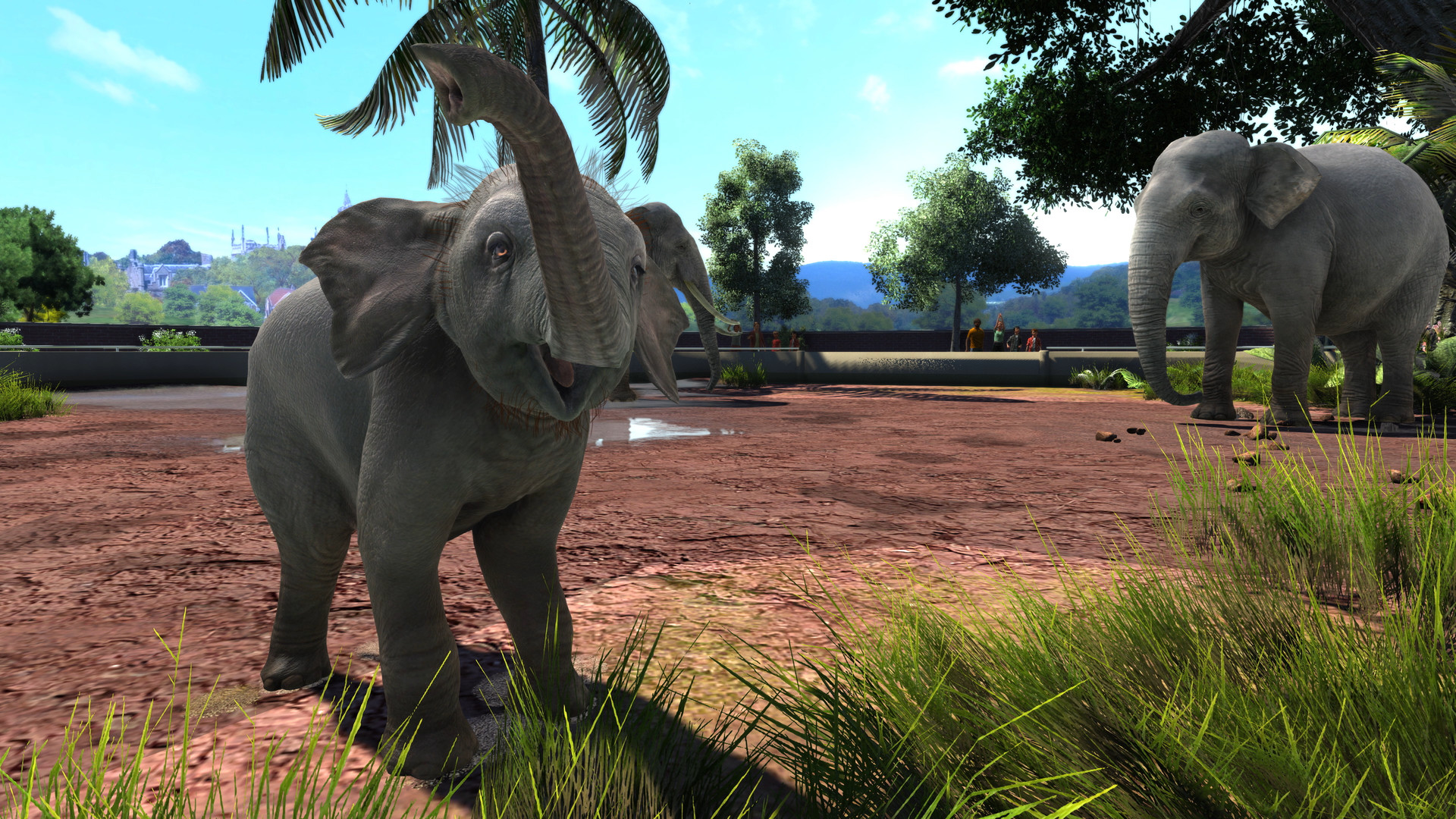 how to set up zoo tycoon on mac