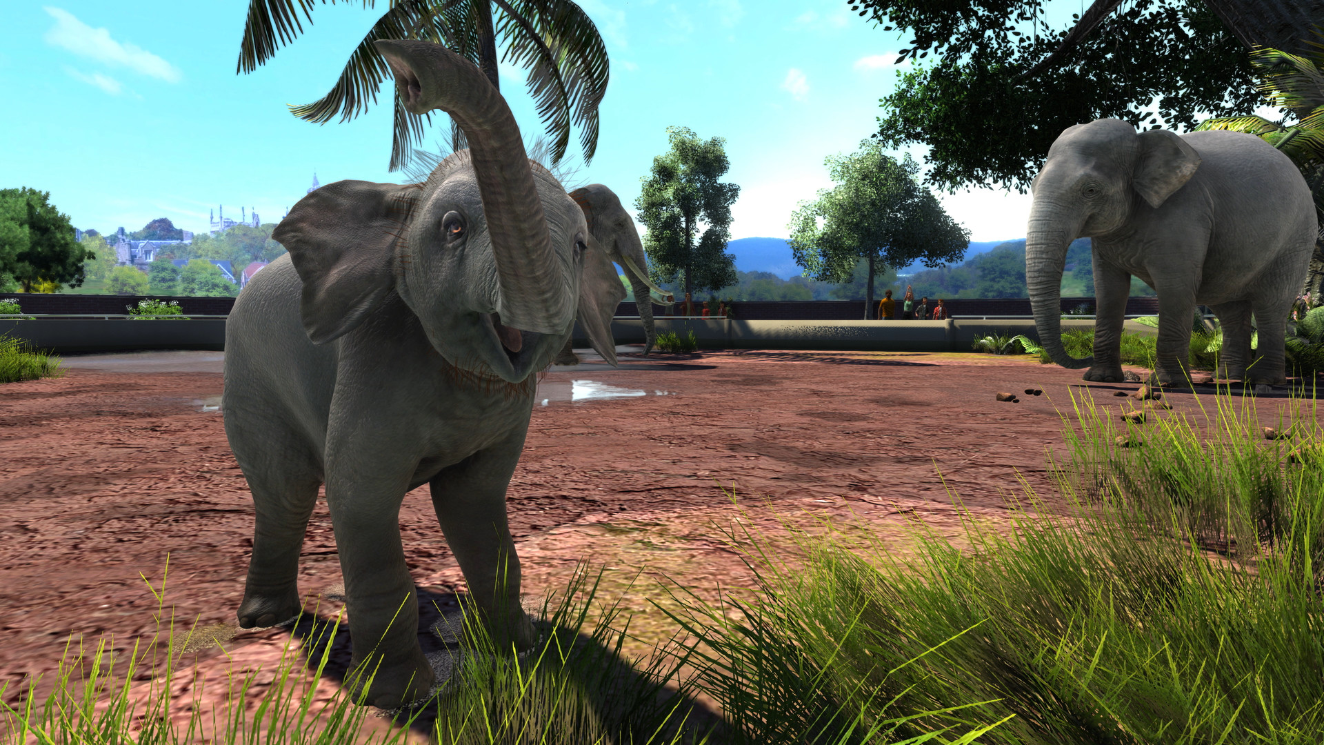 Zoo Tycoon: Ultimate Animal Collection on Steam