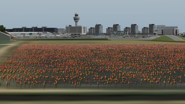 скриншот X-Plane 11 - Add-on: Aerosoft - Airport Amsterdam 1