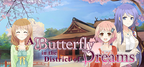 A Butterfly in the District of Dreams Cover Image