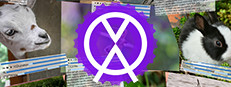 1 multi screen media player gallery video wall photo slideshow wizard app 게임 이미지