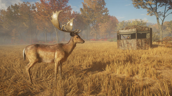 KHAiHOM.com - theHunter: Call of the Wild™ - Tents & Ground Blinds