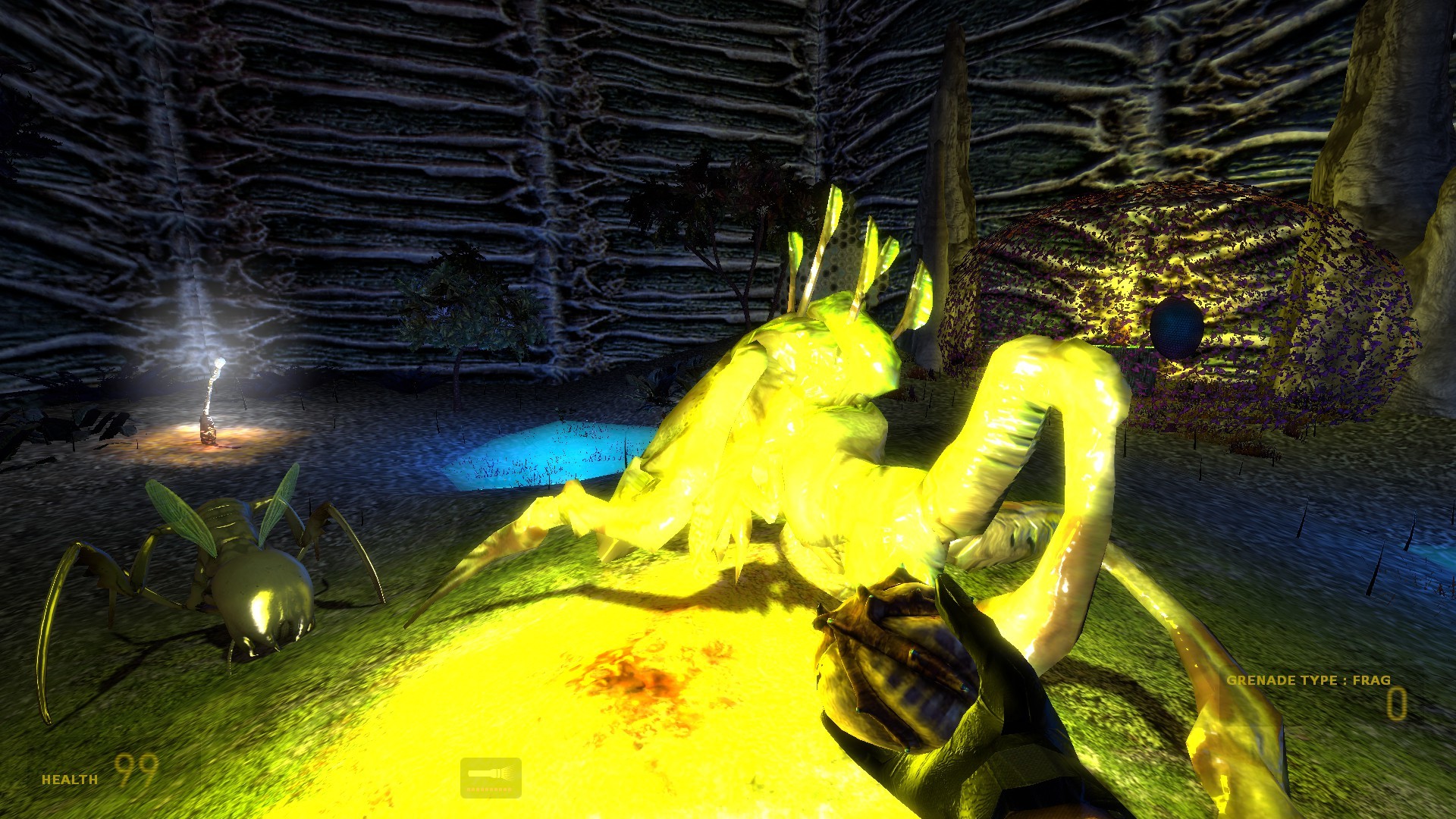 Arctic Adventure: Episodes #5