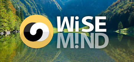 WiseMind steam charts