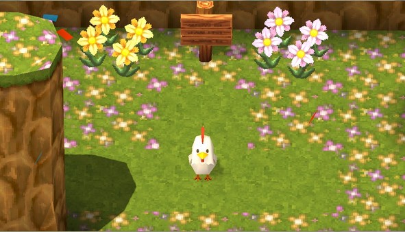Chicken Labyrinth Puzzles
