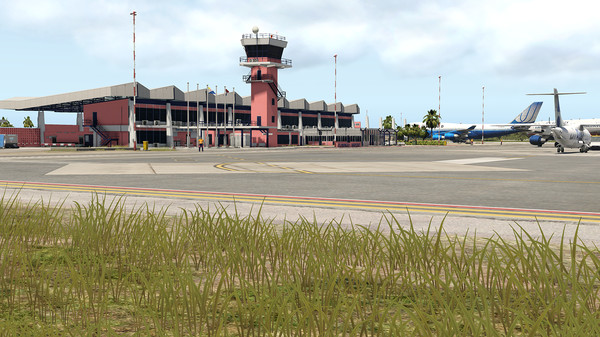 скриншот X-Plane 11 - Add-on: Aerosoft - Airport Bonaire Flamingo 0
