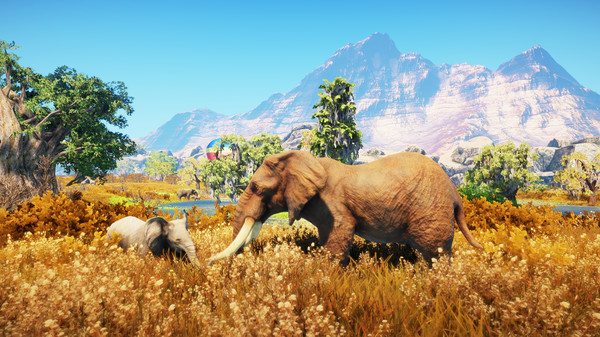 Animallica CD Key 1