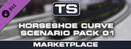 TS Marketplace: Horseshoe Curve Scenario Pack 01 Add-On