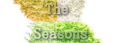 The Seasons 게임 이미지