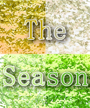 The Seasons