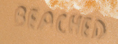 Beached 게임 이미지