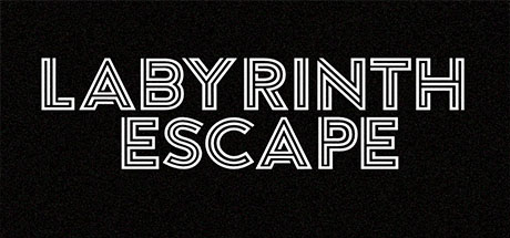 Labyrinth Escape Cover Image