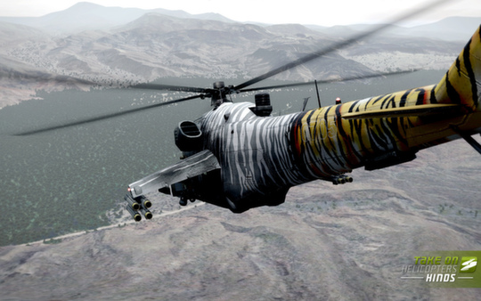 скриншот Take On Helicopters: Hinds 2