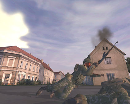 скриншот ARMA: Cold War Assault 1